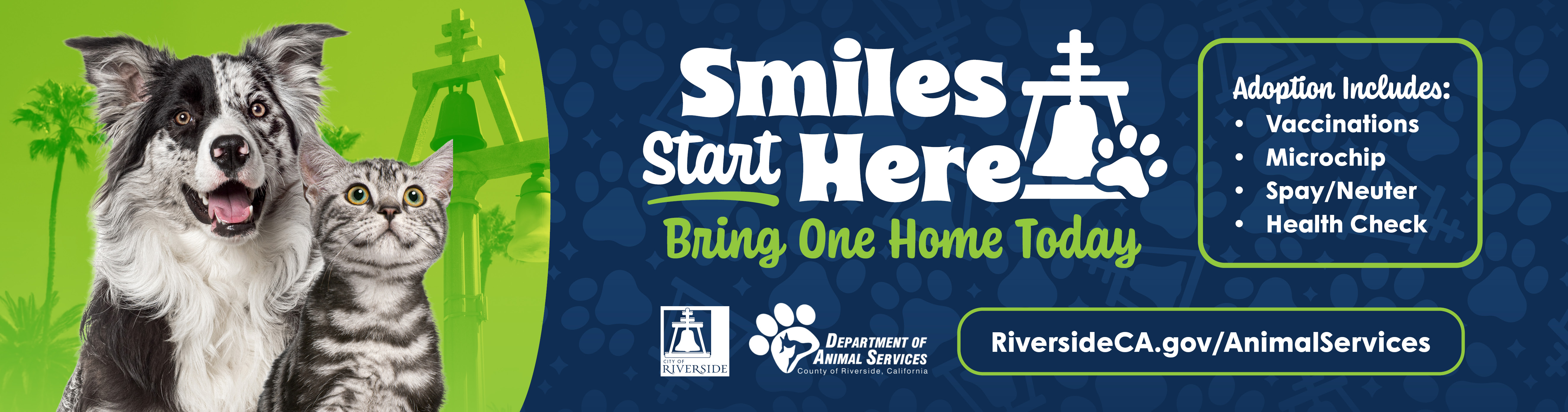 Adopt an Animal today
