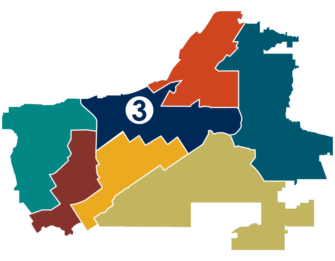 Ward 3 Map