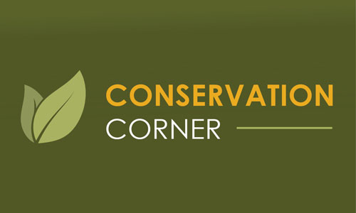 conservation corner