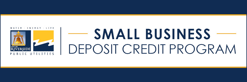 Small Business Deposit Credit (SBDC)