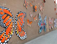 Butterfly Installation 