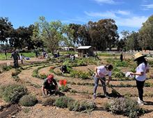 Volunteers work on a community garden in Riverside