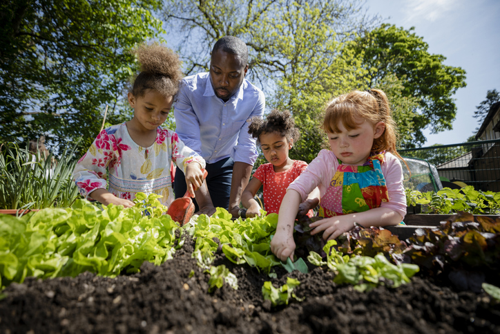 Community garden representing local food systems