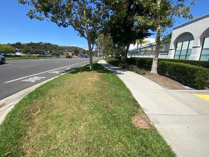 Decorative irrigated lawn beside a commercial parking area with no apparent recreational use